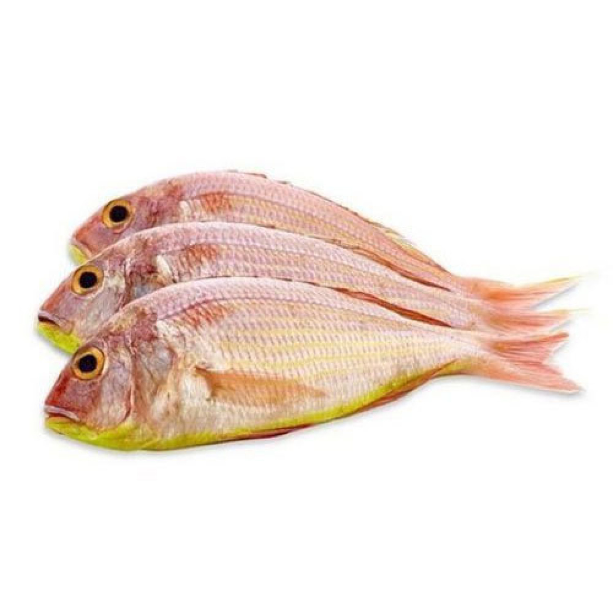 Pink Perch / Sankara / Red Fish Big MeatMart