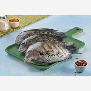 Pearl Spot / Karimeen Big MeatMart