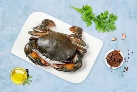 Mud Crab Big MeatMart