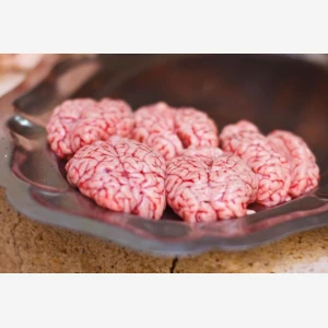 Lamb Brain Big MeatMart